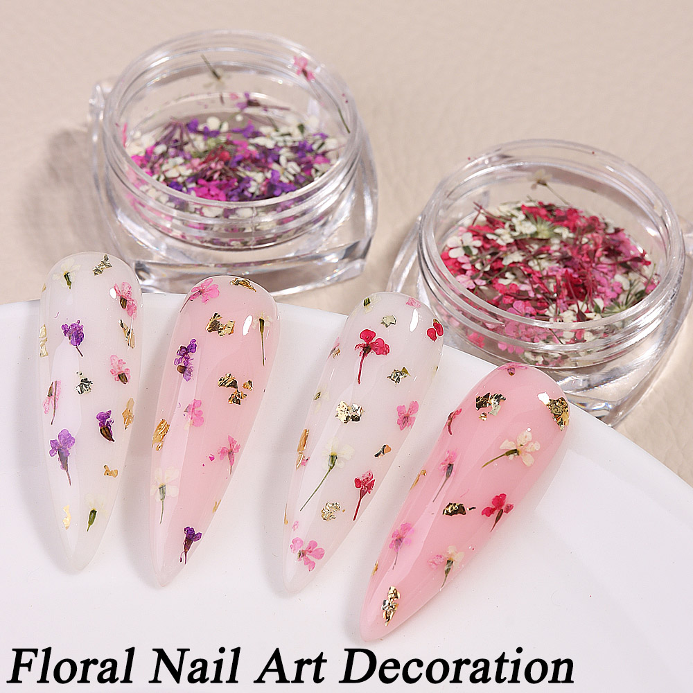 Mixed Colors Gypsophila False  - مراجعة Dried Flower Bulk وسعره