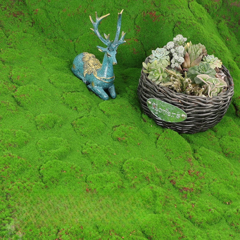 Artificial Turf Moss Simulatio - مراجعة Terrarium Moss Art وسعره