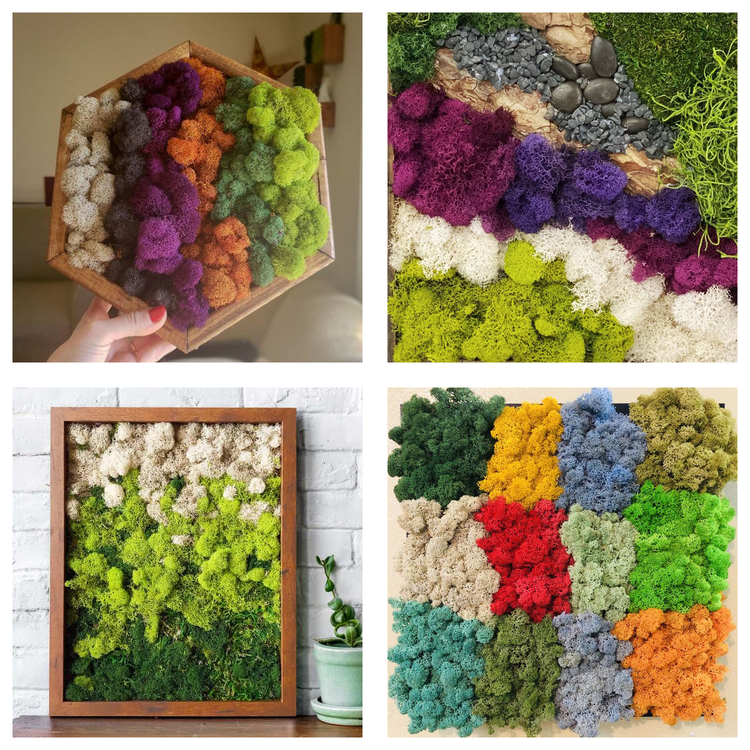 Artificial Green Plants Eterna - مراجعة Terrarium Moss Art وسعره