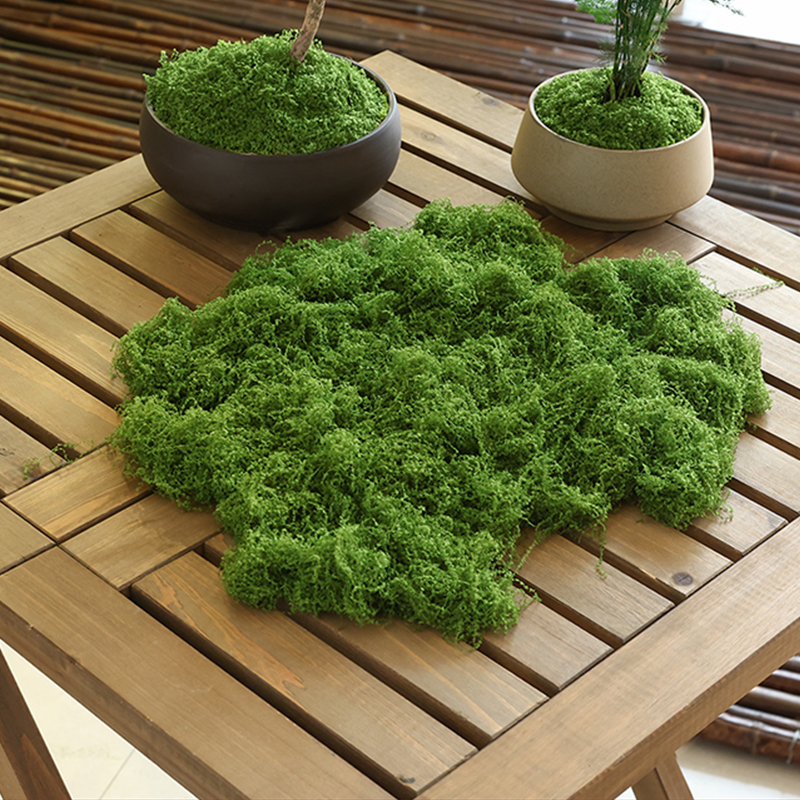 about 20g Artificial Green Pla - مراجعة Terrarium Moss Art وسعره