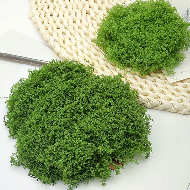 about 20g Artificial Green Pla - مراجعة Terrarium Moss Art وسعره