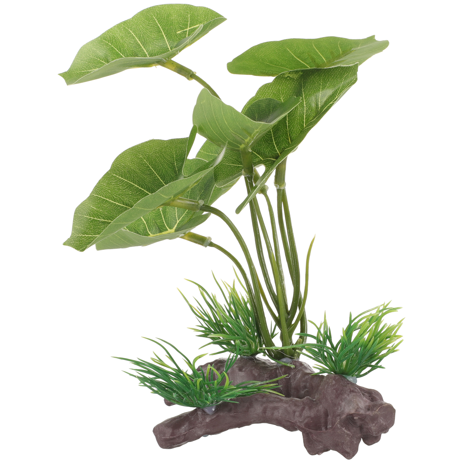 Fish Tank Artificial Water Pla - مراجعة Terrarium Moss Art وسعره