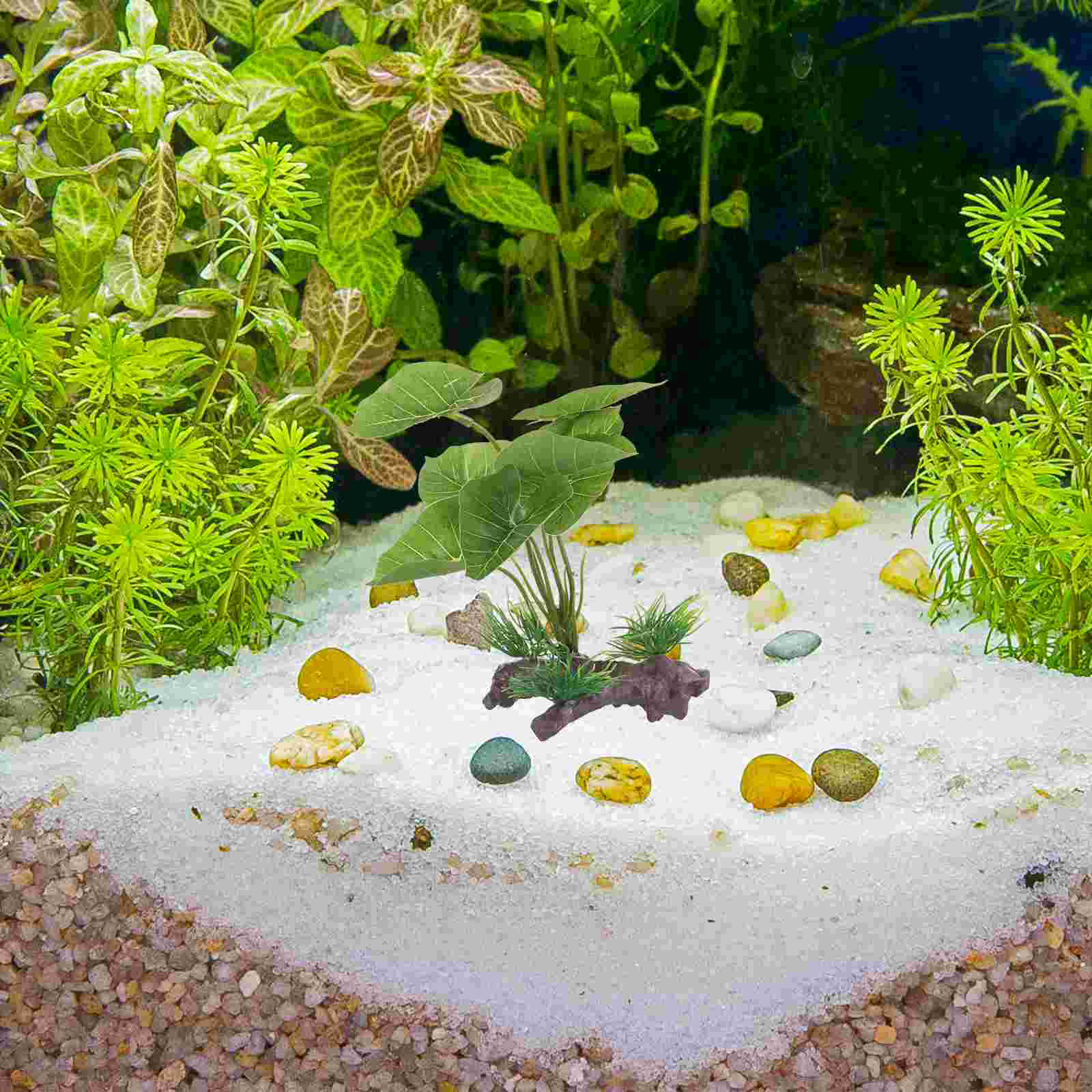 Fish Tank Artificial Water Pla - مراجعة Terrarium Moss Art وسعره