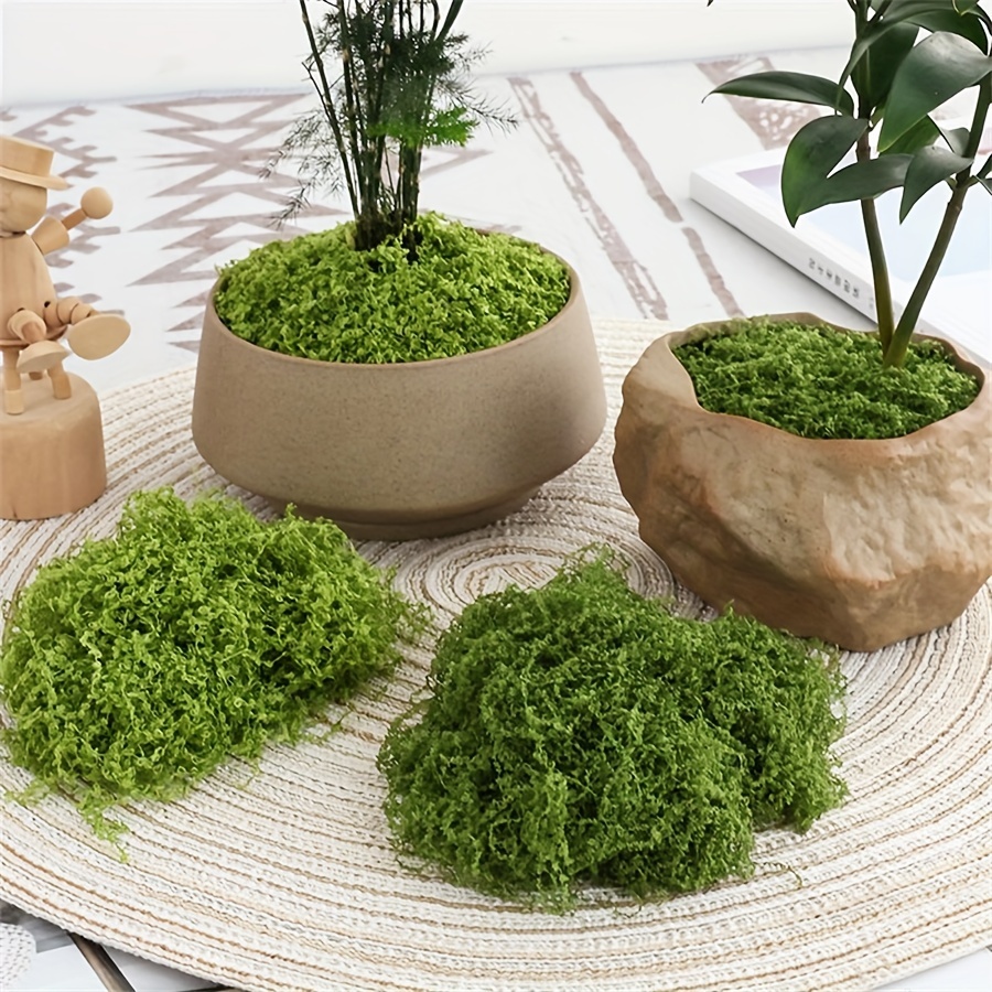 1pack Artificial Fake Moss, 1. - مراجعة Terrarium Moss Art وسعره