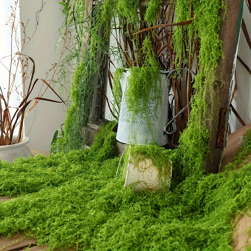 1pack Artificial Fake Moss, 1. - مراجعة Terrarium Moss Art وسعره