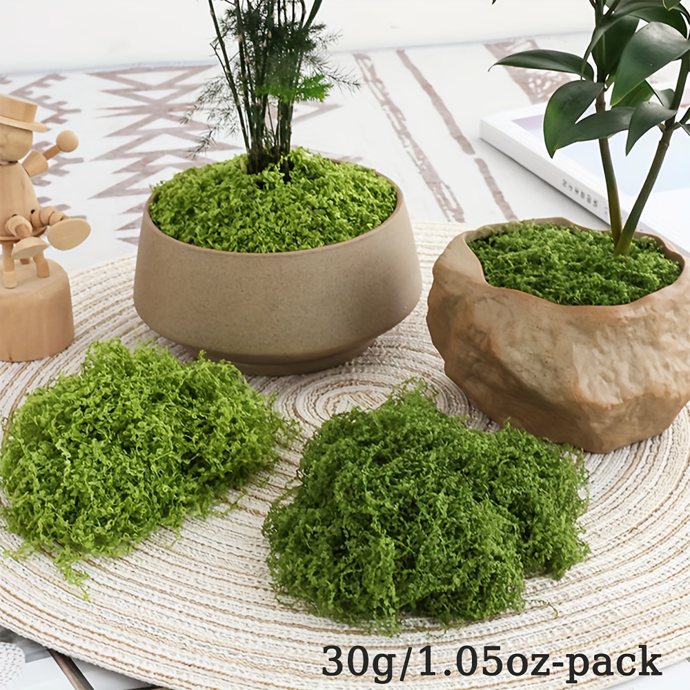 1pack Artificial Fake Moss, 1. - مراجعة Terrarium Moss Art وسعره
