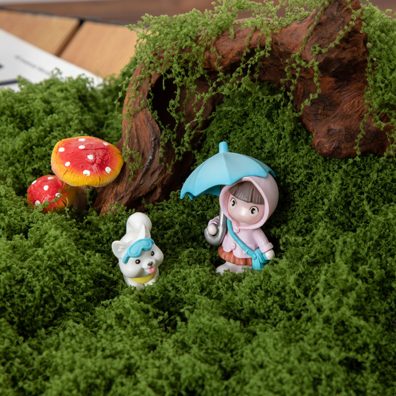 200g Eternal Life Moss DIY Cra - مراجعة Terrarium Moss Art وسعره