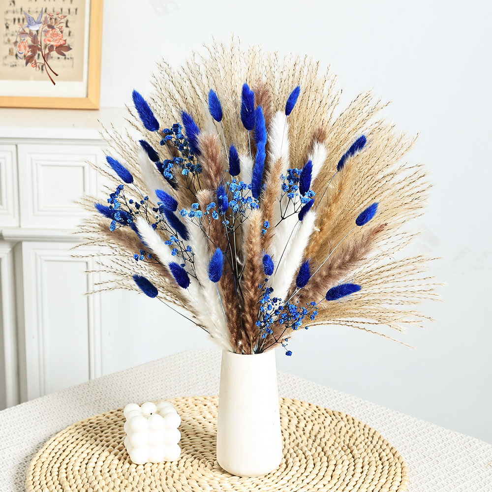 70 Stem Blue Fluffly Rabbit Ta - مراجعة Dried Flower Bulk وسعره