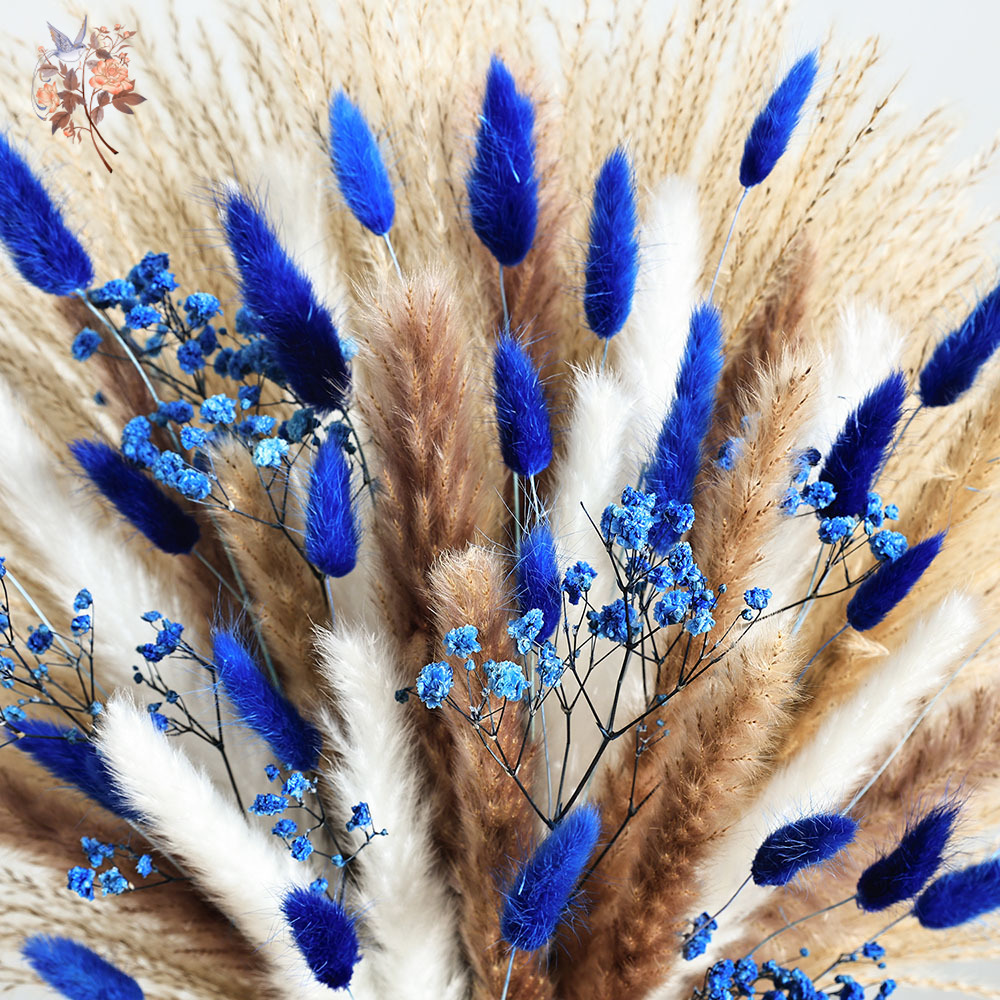 70 Stem Blue Fluffly Rabbit Ta - مراجعة Dried Flower Bulk وسعره