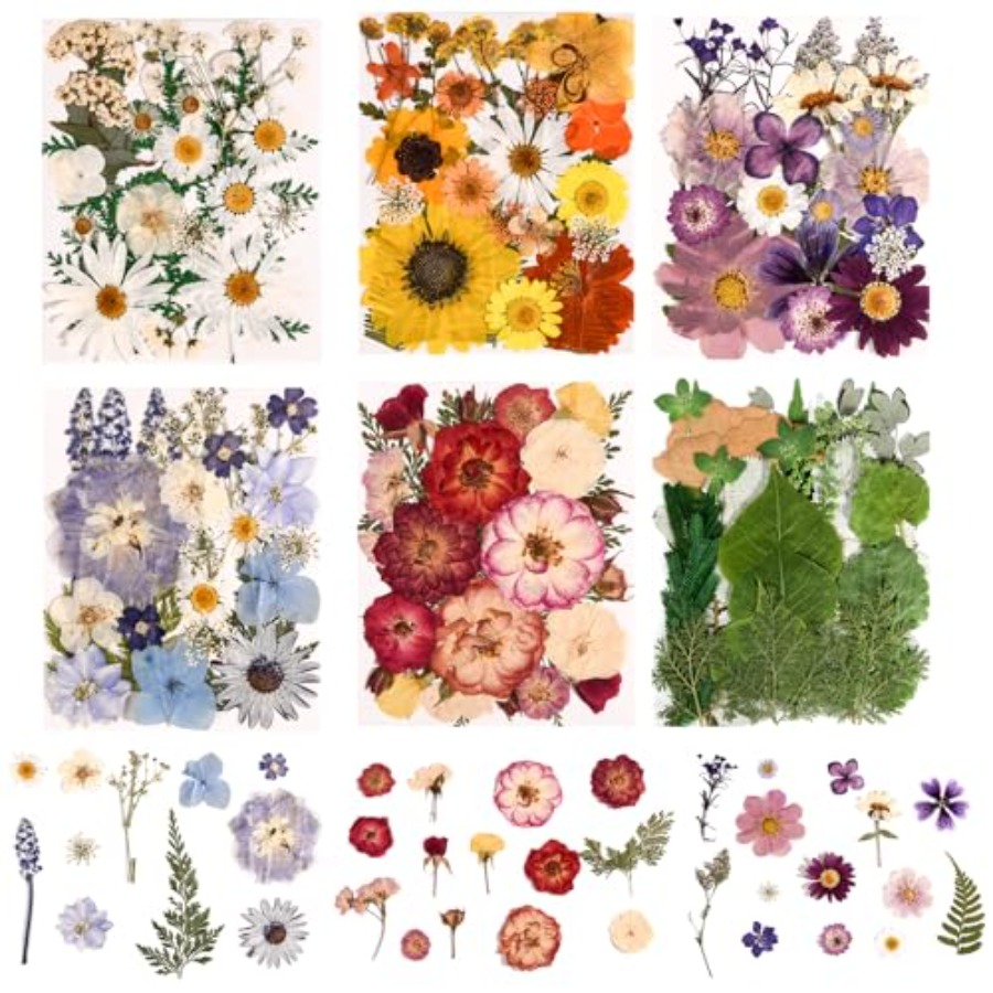 6 Pack 150PCS Real Pressed Dri - مراجعة Resin Jewelry Kit وسعره