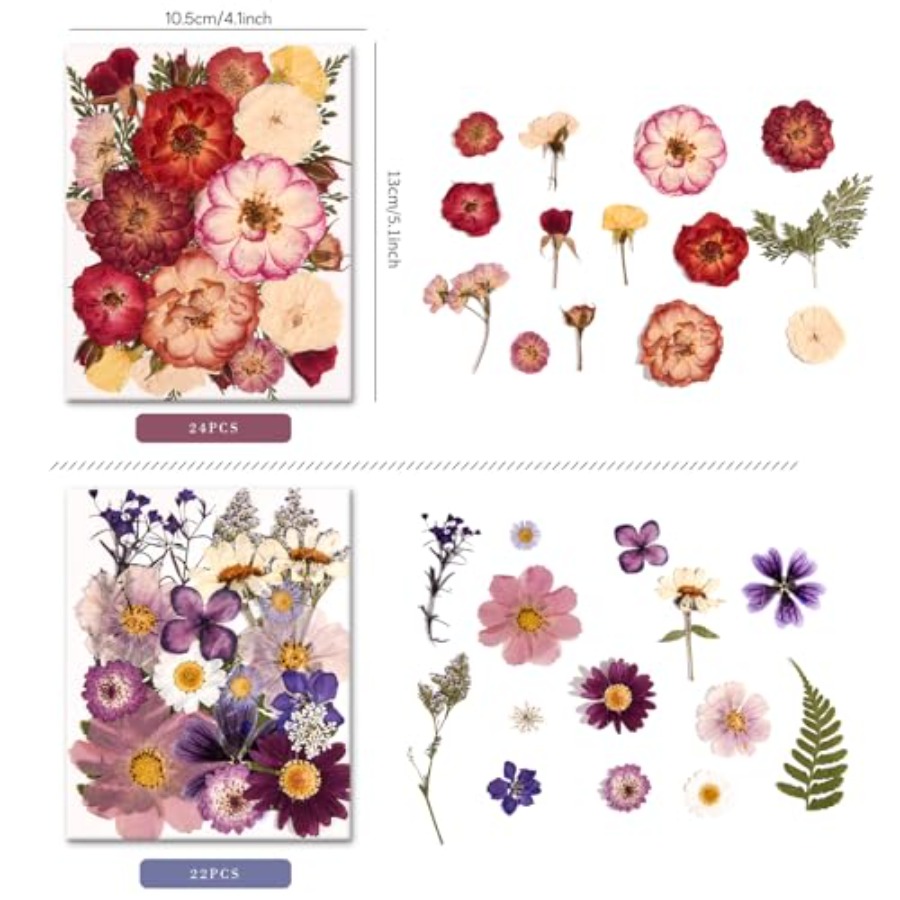 6 Pack 150PCS Real Pressed Dri - مراجعة Resin Jewelry Kit وسعره