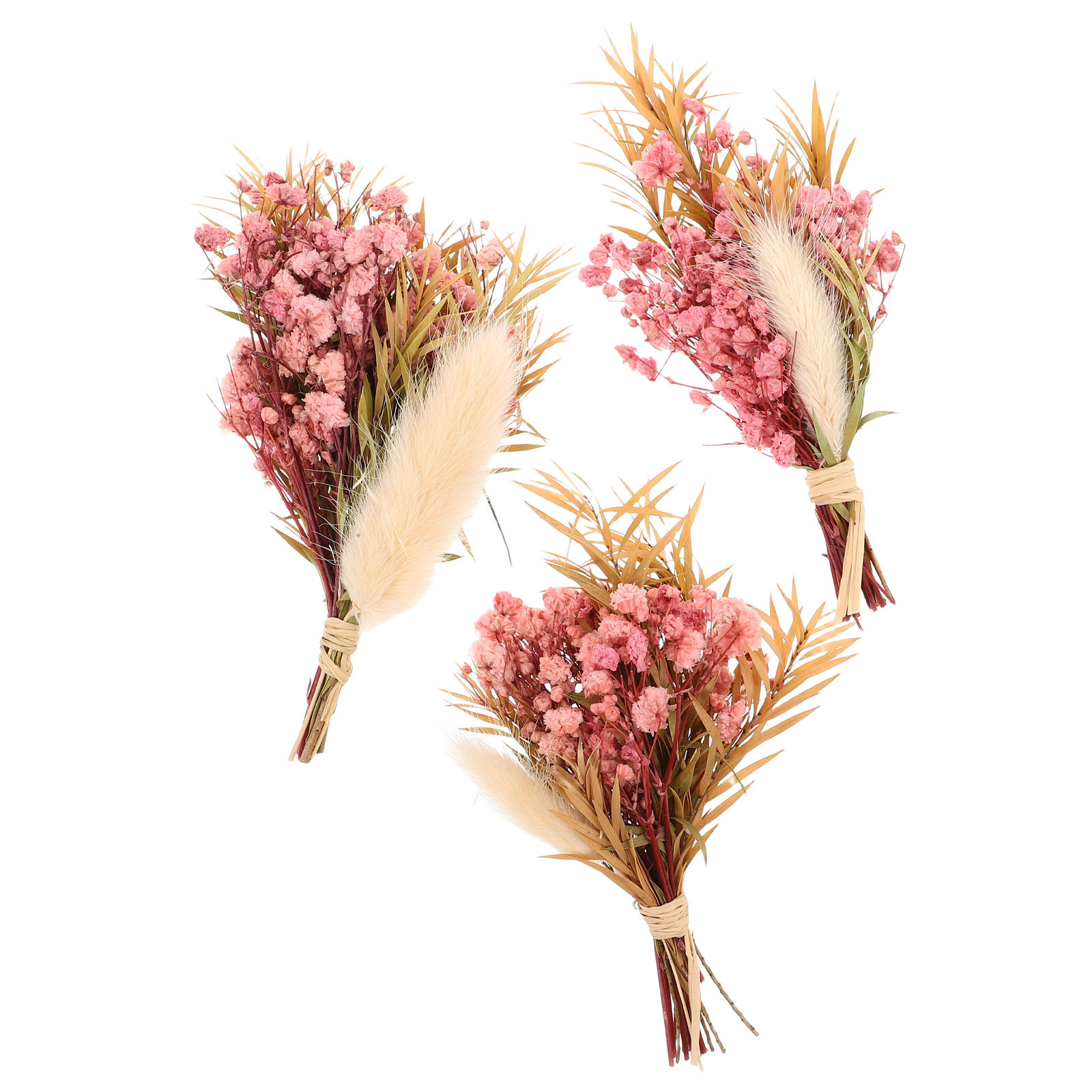 3Pcs Mini Dried Floral Bouquet - مراجعة Dried Flower Bulk وسعره
