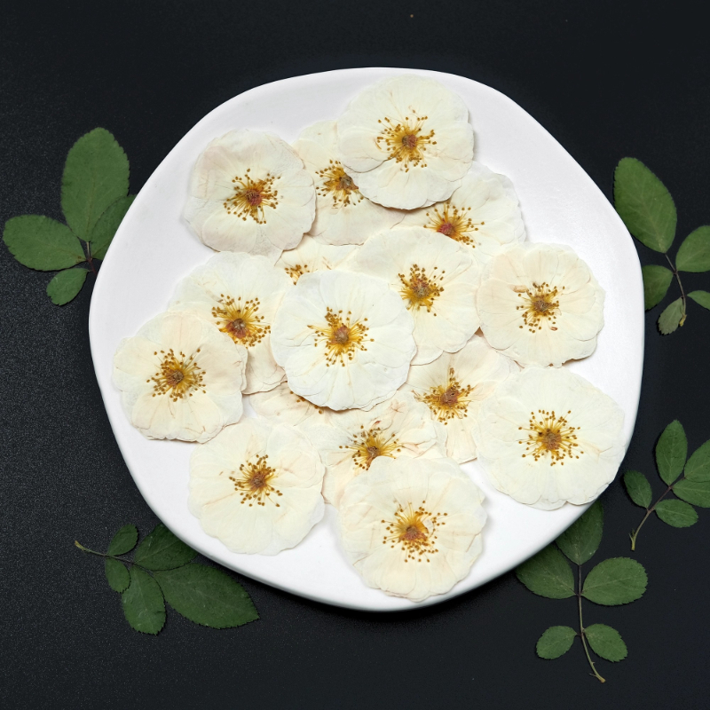 6pcs,9pcs,Nature White Rose Pr - مراجعة Dried Flower Bulk وسعره