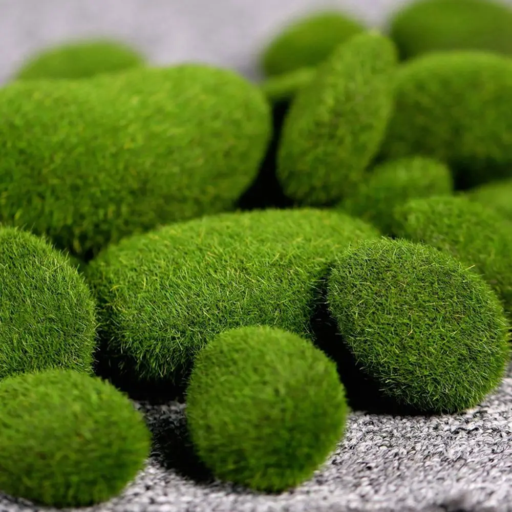 Floral Arrangements Fake Stone - مراجعة Terrarium Moss Art وسعره