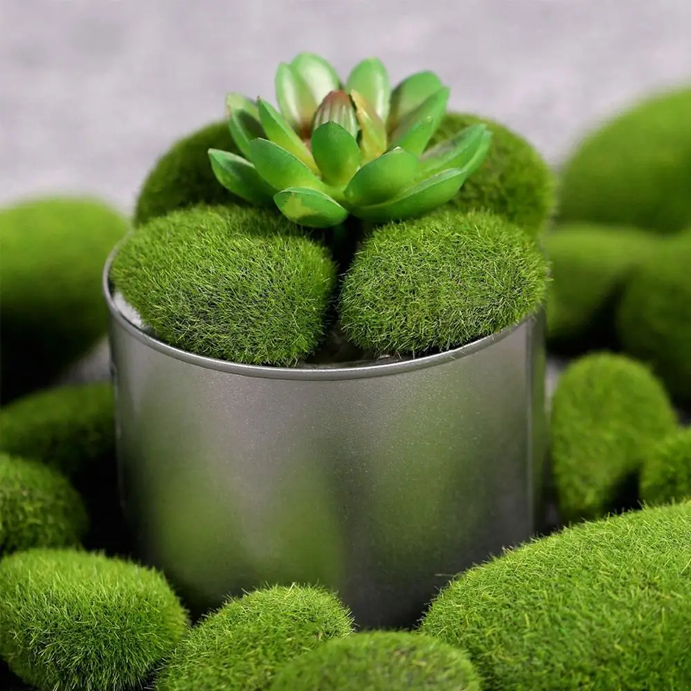 Floral Arrangements Fake Stone - مراجعة Terrarium Moss Art وسعره
