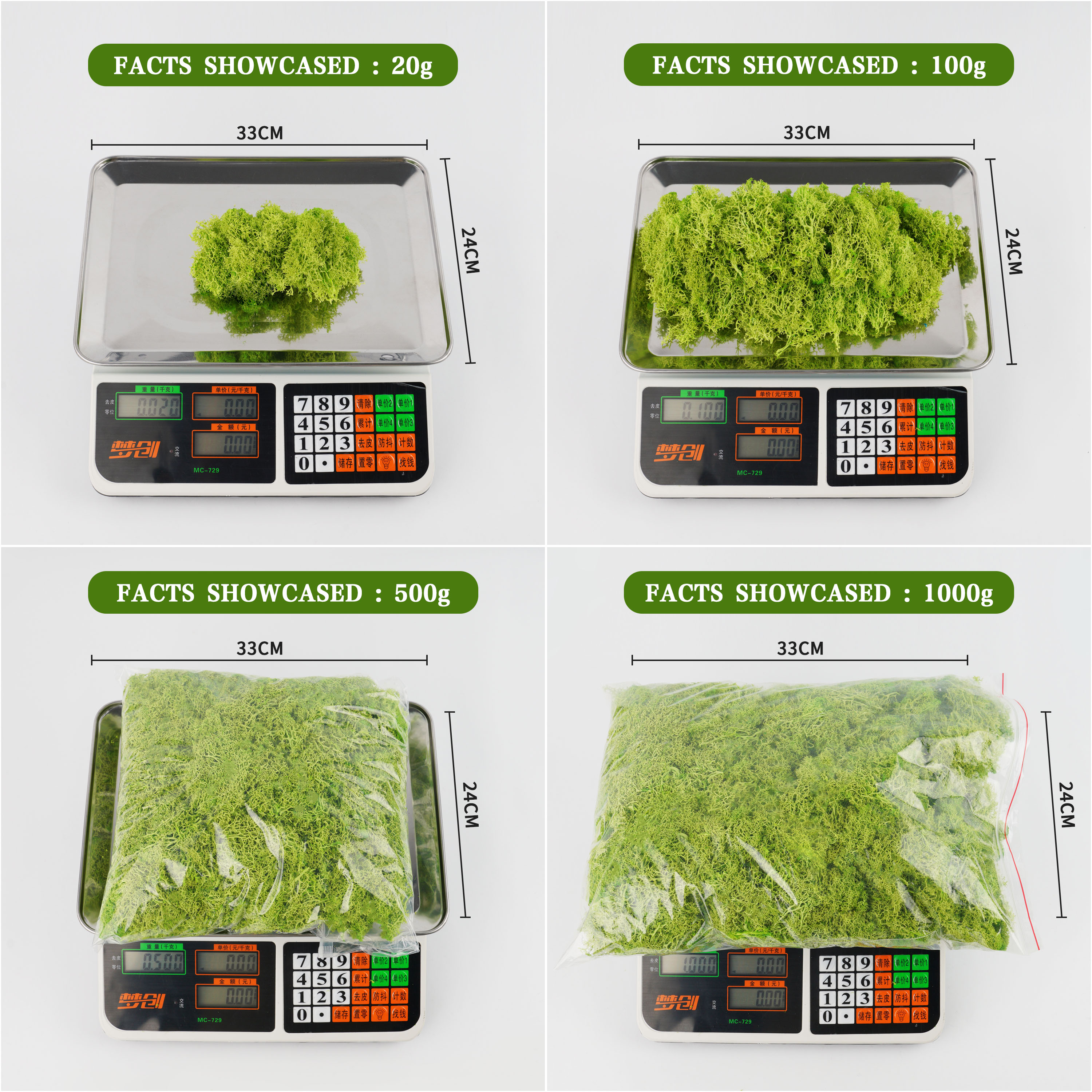 20/40/100g Eternal Life Moss D - مراجعة Terrarium Moss Art وسعره
