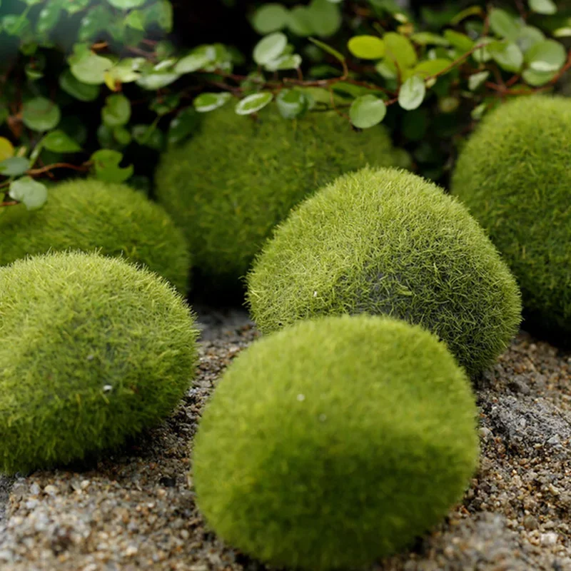 Fake Stone Artificial Moss Roc - مراجعة Terrarium Moss Art وسعره