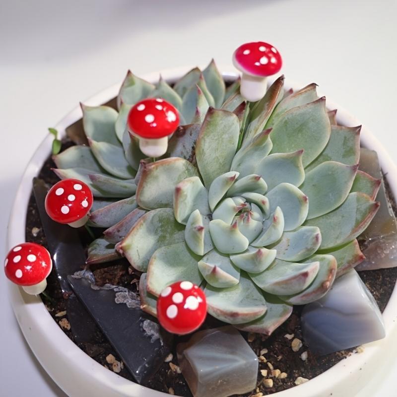 10-80PCS Mini Color Mushroom D - مراجعة Terrarium Moss Art وسعره
