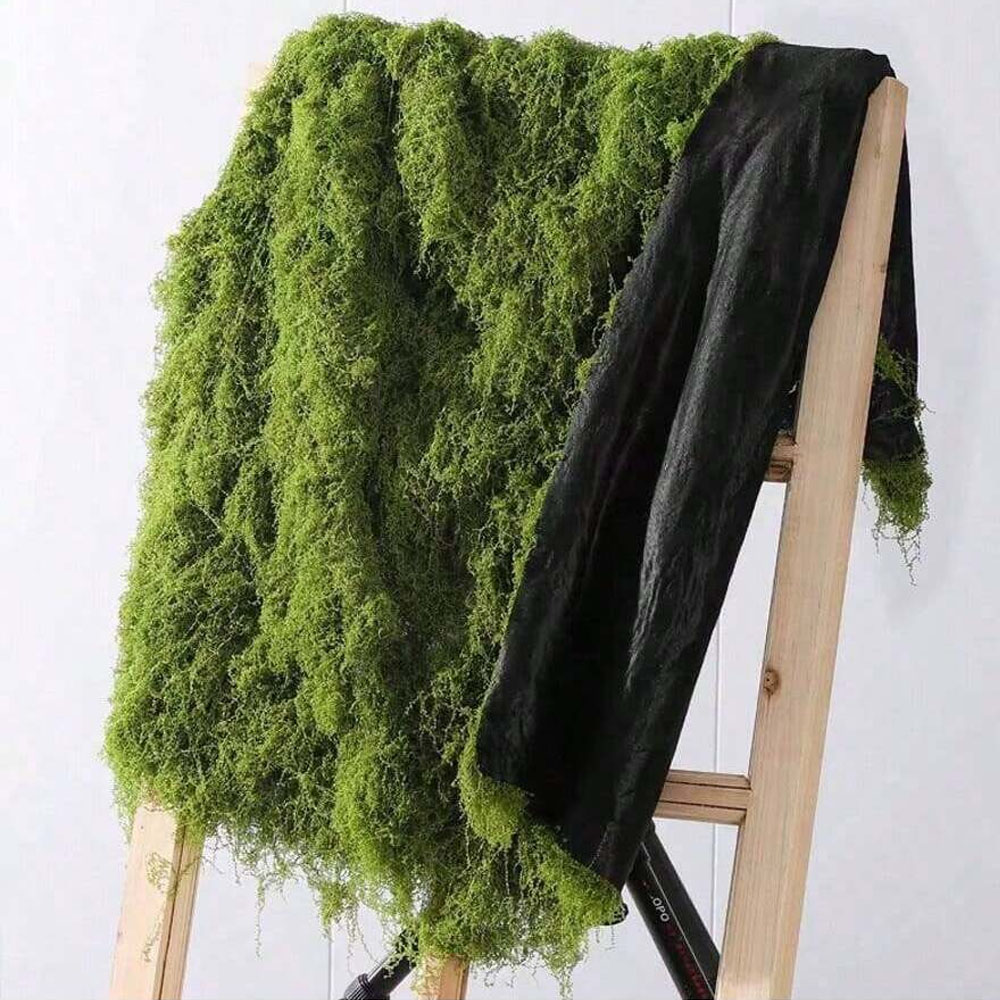 1*1m Fake Moss DIY Crafts Gras - مراجعة Terrarium Moss Art وسعره