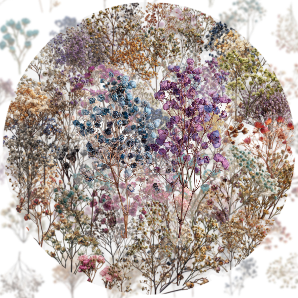 50PCS Retro Color Dried Flower - مراجعة Dried Flower Bulk وسعره