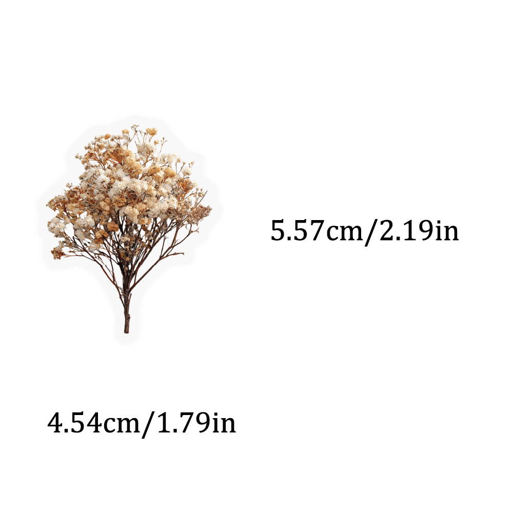 50PCS Retro Color Dried Flower - مراجعة Dried Flower Bulk وسعره
