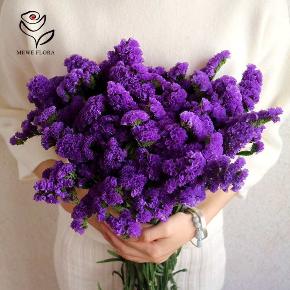 100g Dried Forget Me Not Flowe - مراجعة Dried Flower Bulk وسعره