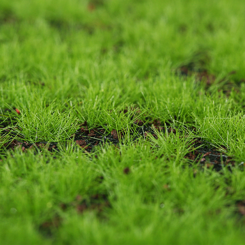 Artificial Moss Fake Green Mos - مراجعة Terrarium Moss Art وسعره