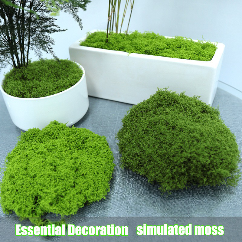 Artificial simulation of moss  - مراجعة Terrarium Moss Art وسعره