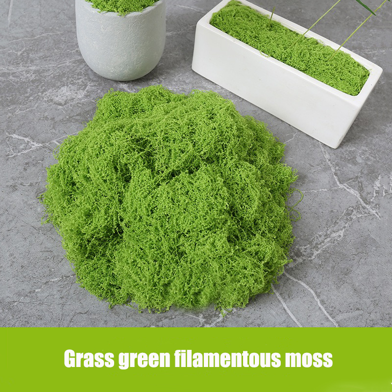 Artificial simulation of moss  - مراجعة Terrarium Moss Art وسعره