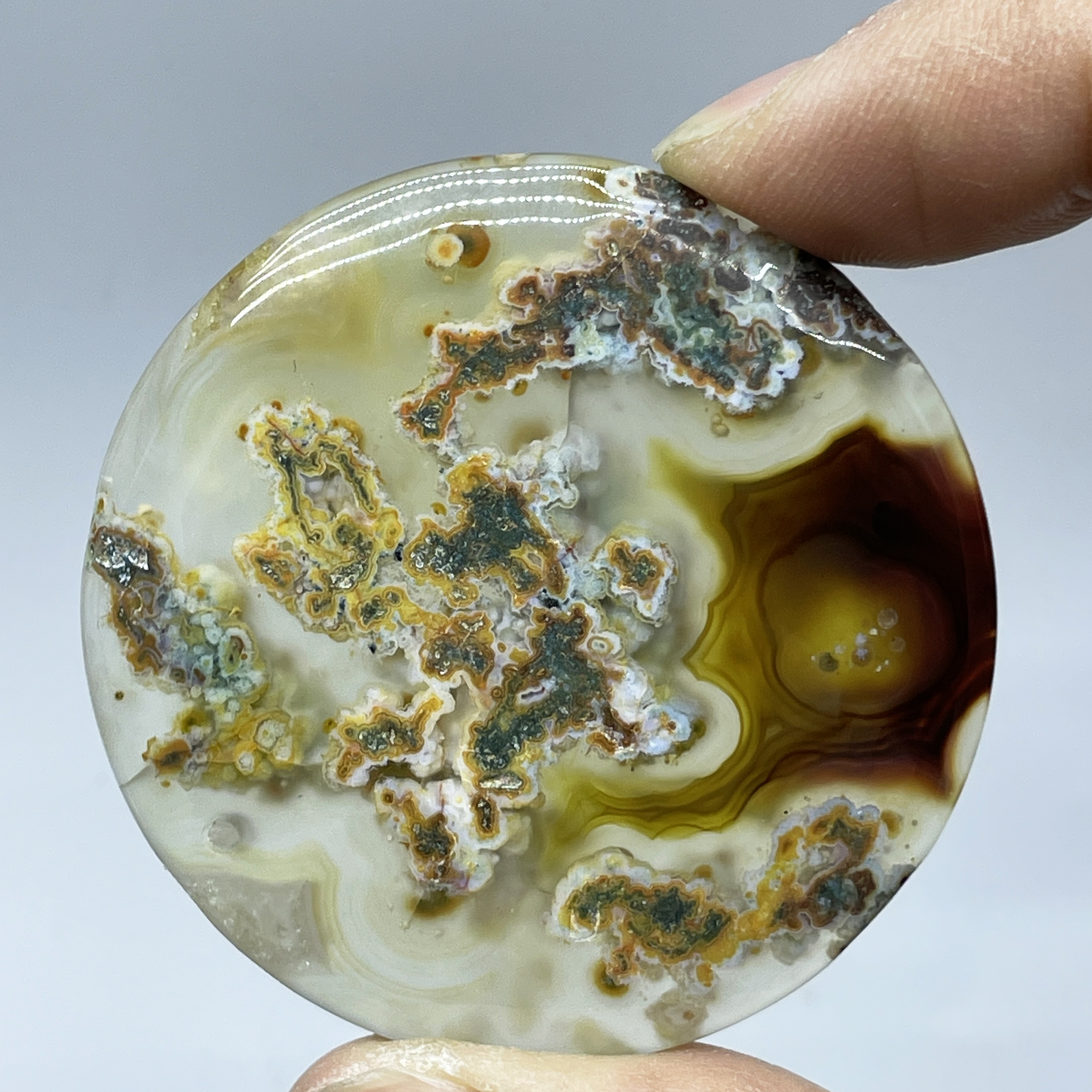 Natural Crystal Moss Agate Wat - مراجعة Terrarium Moss Art وسعره