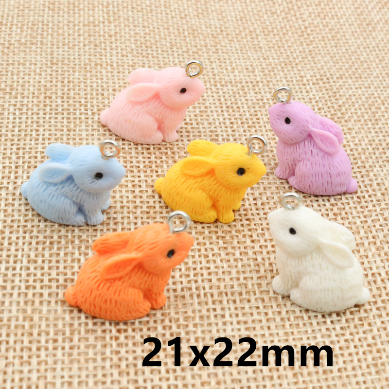10PCS Resin Pendant Charms Rab - مراجعة Resin Craft Supplies وسعره