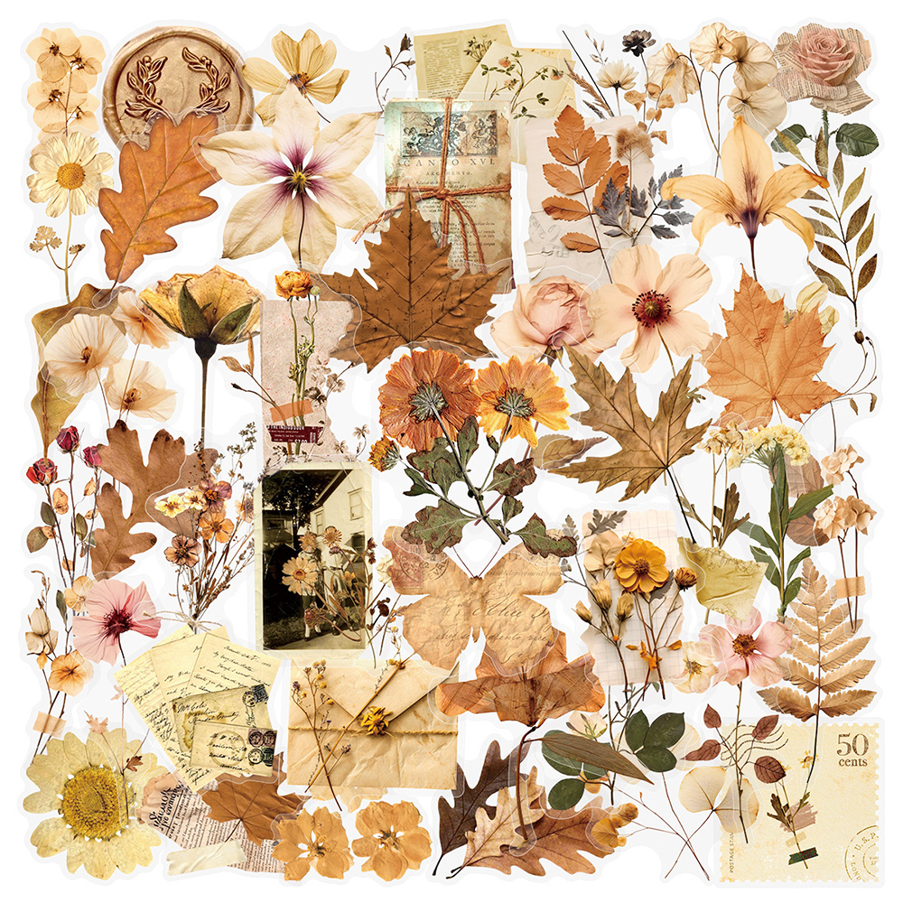 10/30/50pcs Transparent Dried  - مراجعة Dried Flower Bulk وسعره