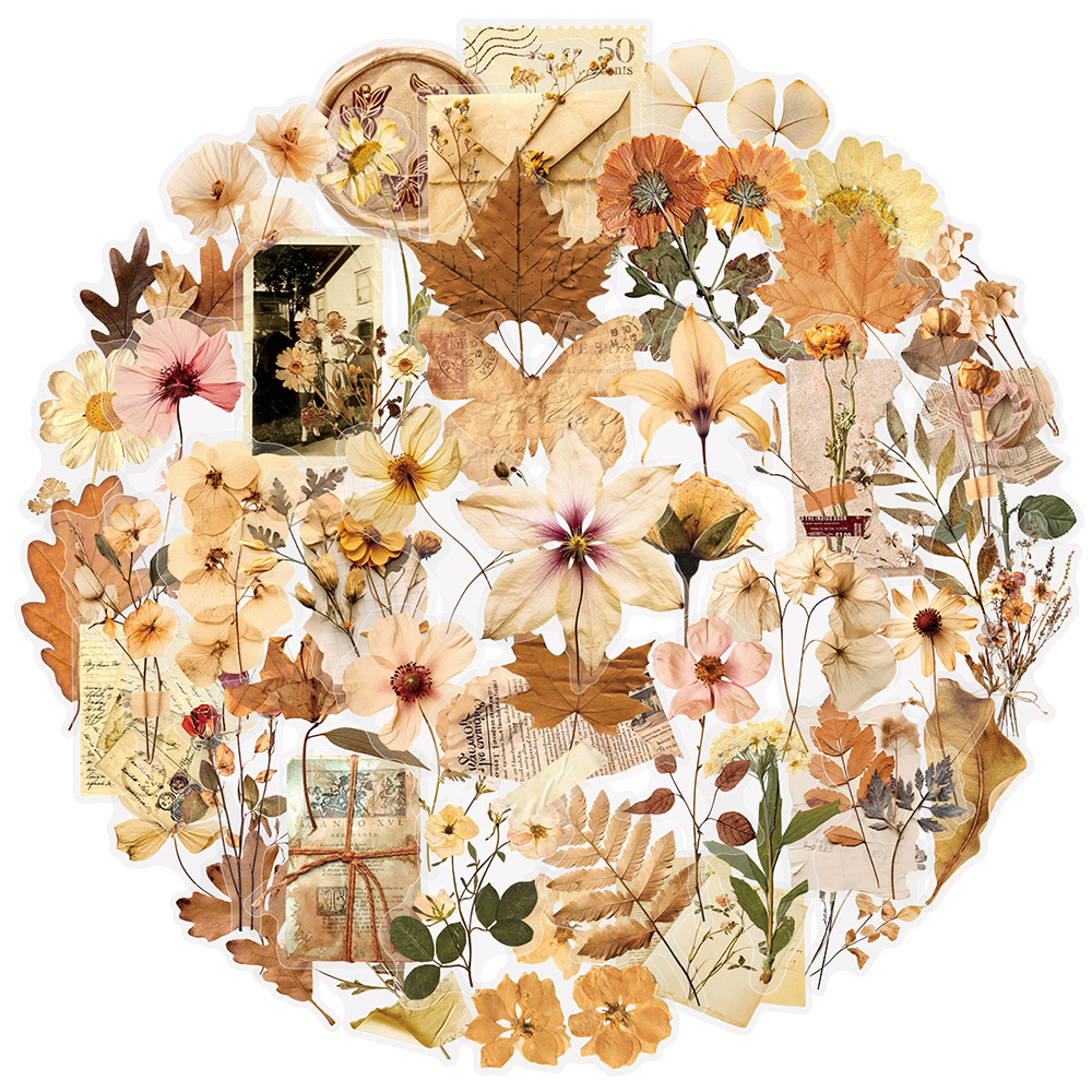 10/30/50pcs Transparent Dried  - مراجعة Dried Flower Bulk وسعره
