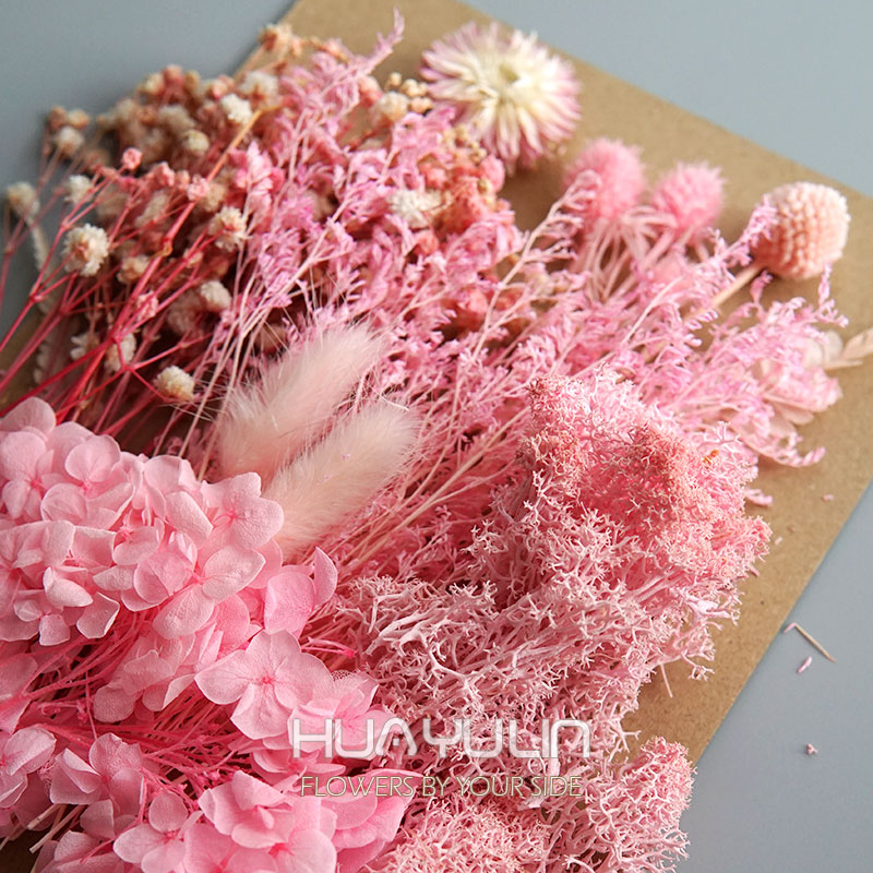 1 Pack Artificial Plants Dried - مراجعة Dried Flower Bulk وسعره