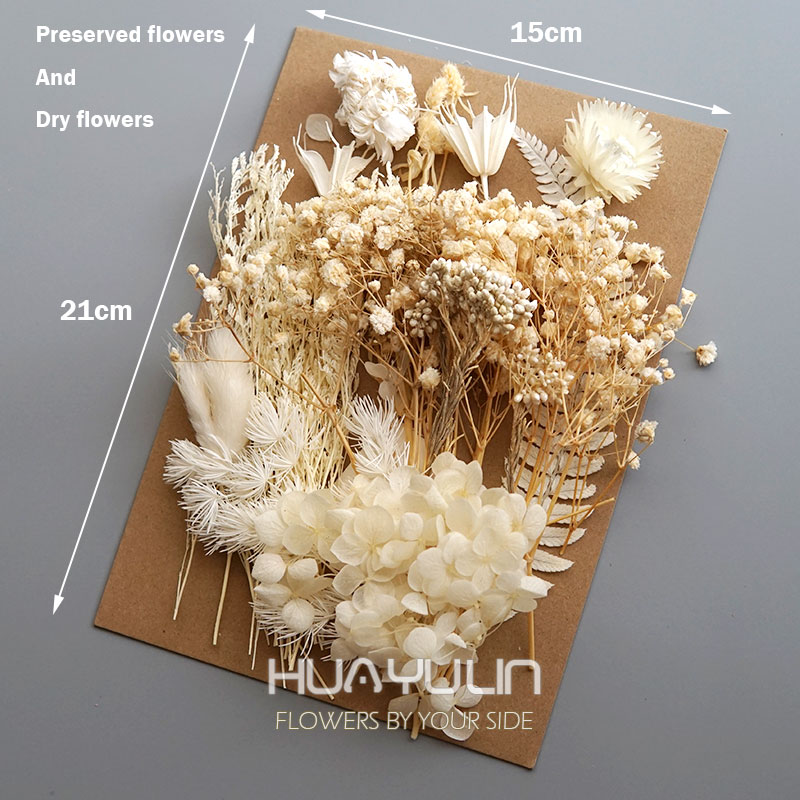 1 Pack Artificial Plants Dried - مراجعة Dried Flower Bulk وسعره