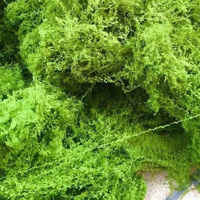 30g Fake Moss Artificial Green - مراجعة Terrarium Moss Art وسعره