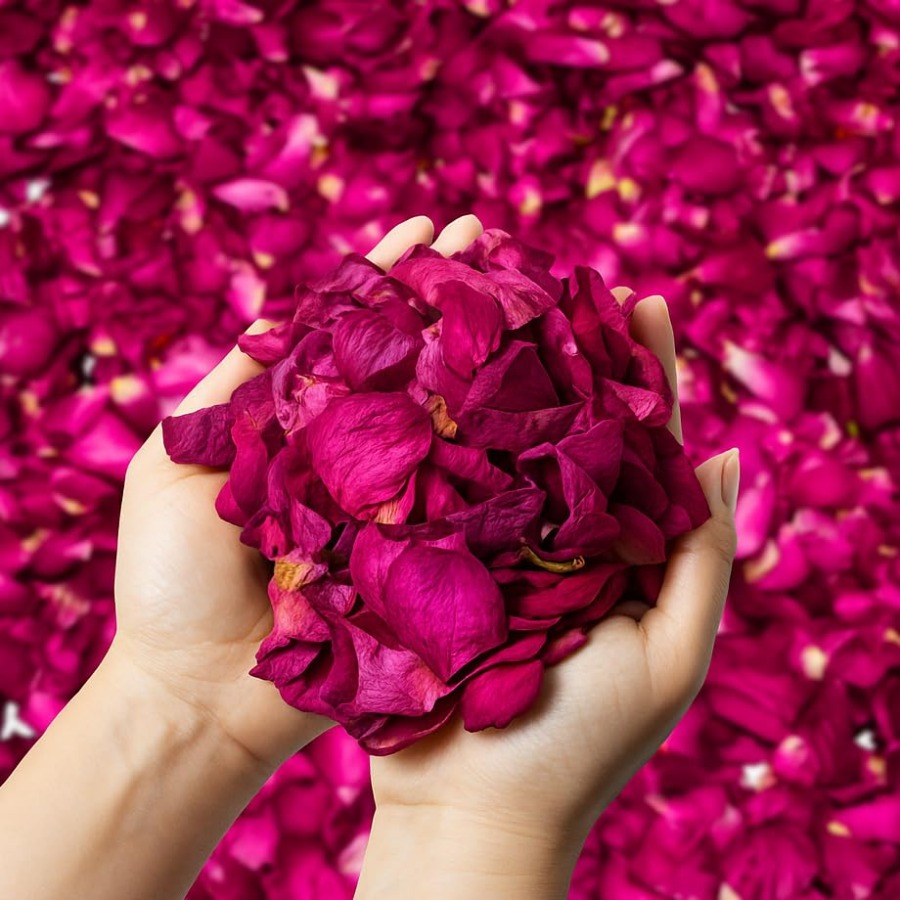 Dried Rose Petals Bulk 5oz Nat - مراجعة Dried Flower Bulk وسعره