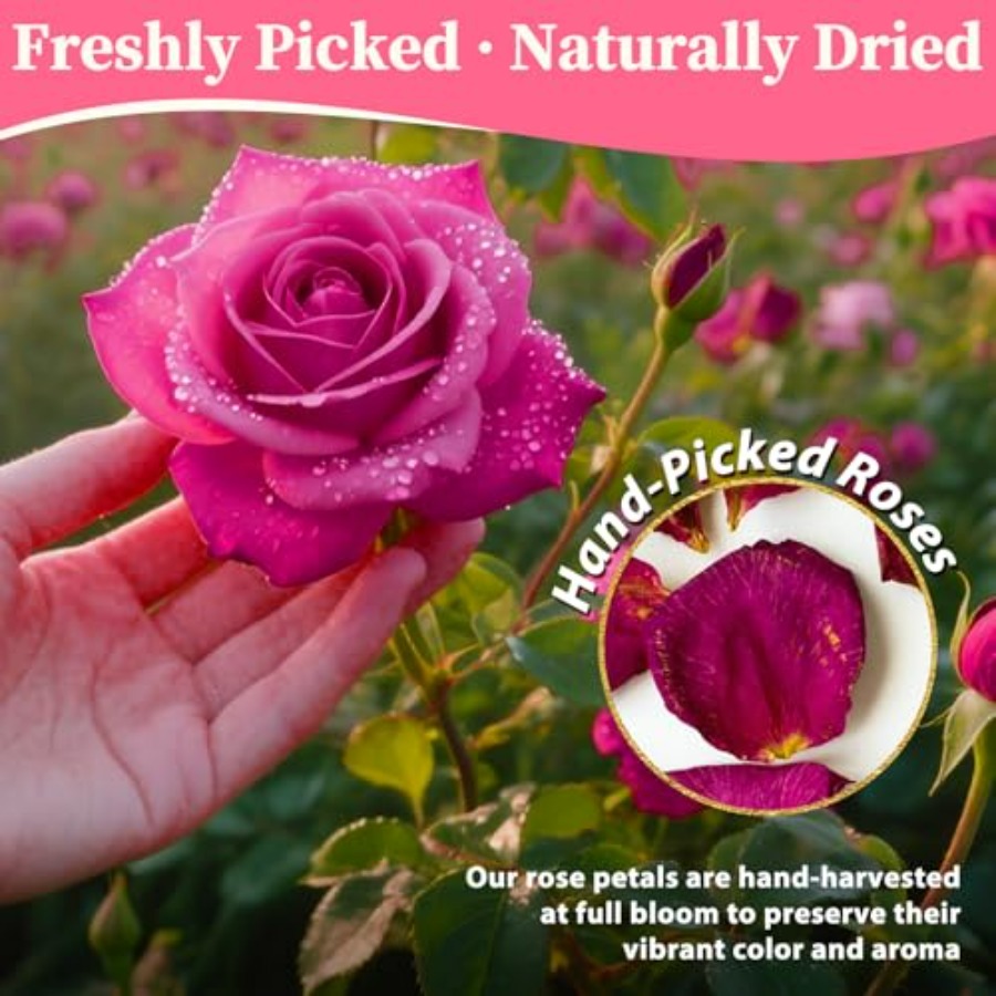 Dried Rose Petals Bulk 5oz Nat - مراجعة Dried Flower Bulk وسعره