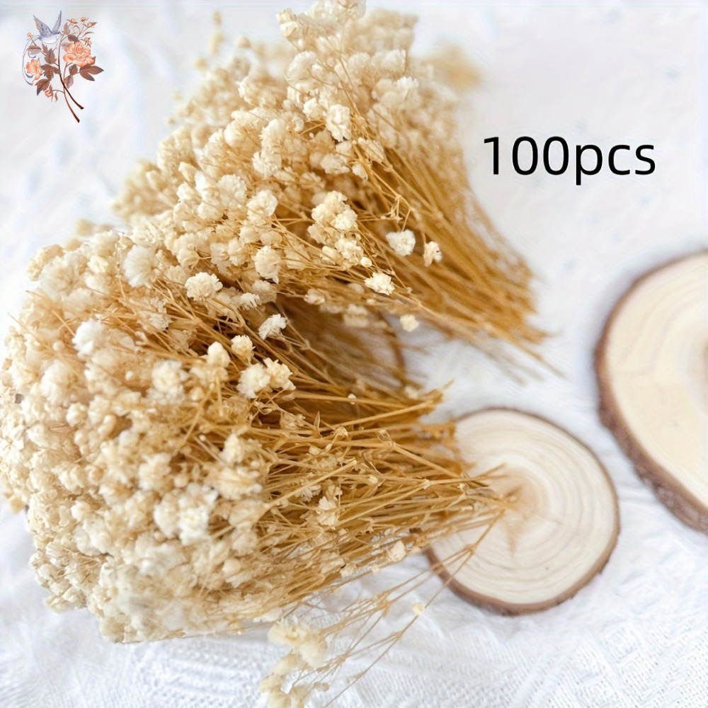 100pcs Mini Dried Baby's Breat - مراجعة Dried Flower Bulk وسعره