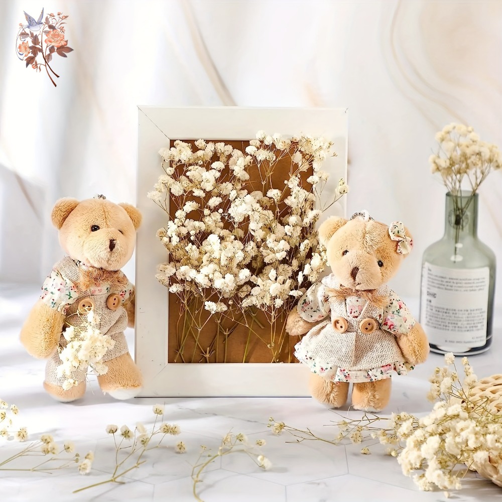 100pcs Mini Dried Baby's Breat - مراجعة Dried Flower Bulk وسعره